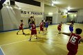 Basket 443034